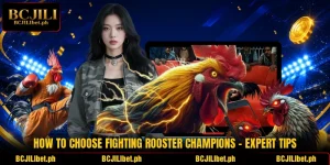 How To Choose Fighting Rooster Champions – Expert Tips