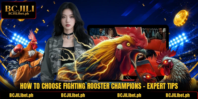 How To Choose Fighting Rooster Champions – Expert Tips