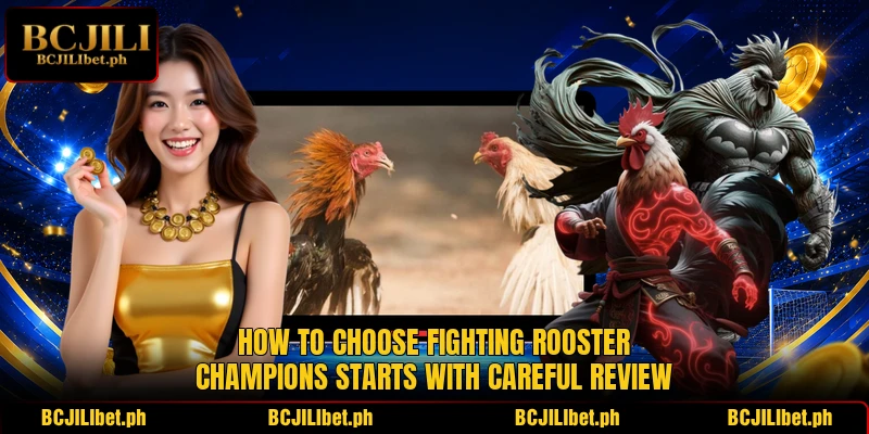 How to choose fighting rooster champions starts with careful review How to choose fighting rooster champions starts with careful review
