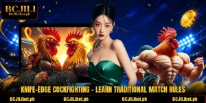 Knife-Edge Cockfighting – Learn Traditional Match Rules