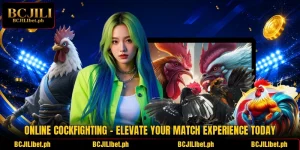Online Cockfighting - Elevate Your Match Experience Today