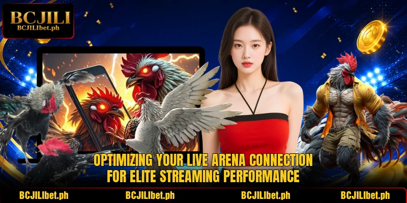 Optimizing your live arena connection for elite streaming performance Optimizing your live arena connection for elite streaming performance